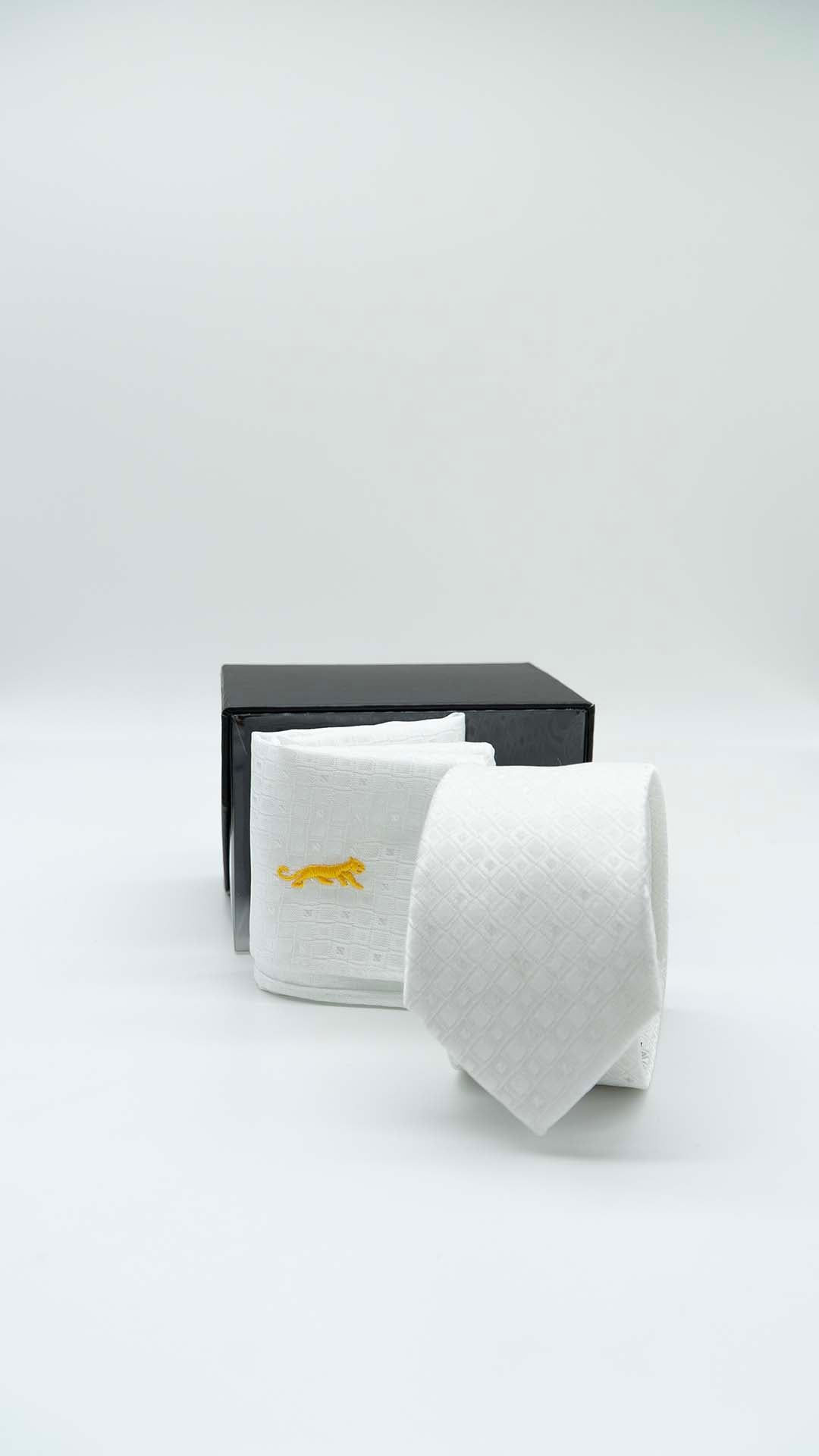 Set Gravata & Lenço Branco